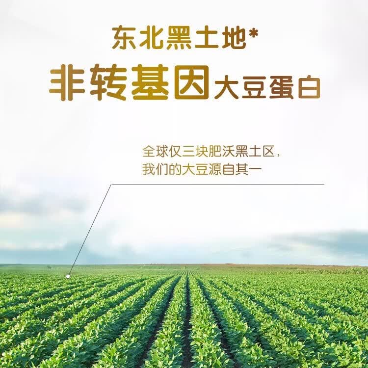 安琪纽特安琪酵母蛋白粉90%植物酵母乳清蛋白粉成人父亲节中老年人营养品 酵母蛋白粉 400g*1罐 【拍2得钙片+B族】