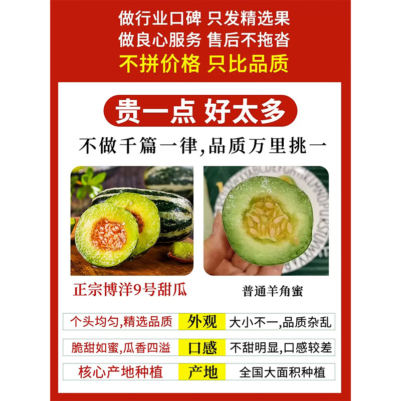 小筑倾橙 山东博洋9号甜瓜头茬羊角脆蜜香瓜新鲜孕妇水果当季整箱 大果5斤【好吃到爆】