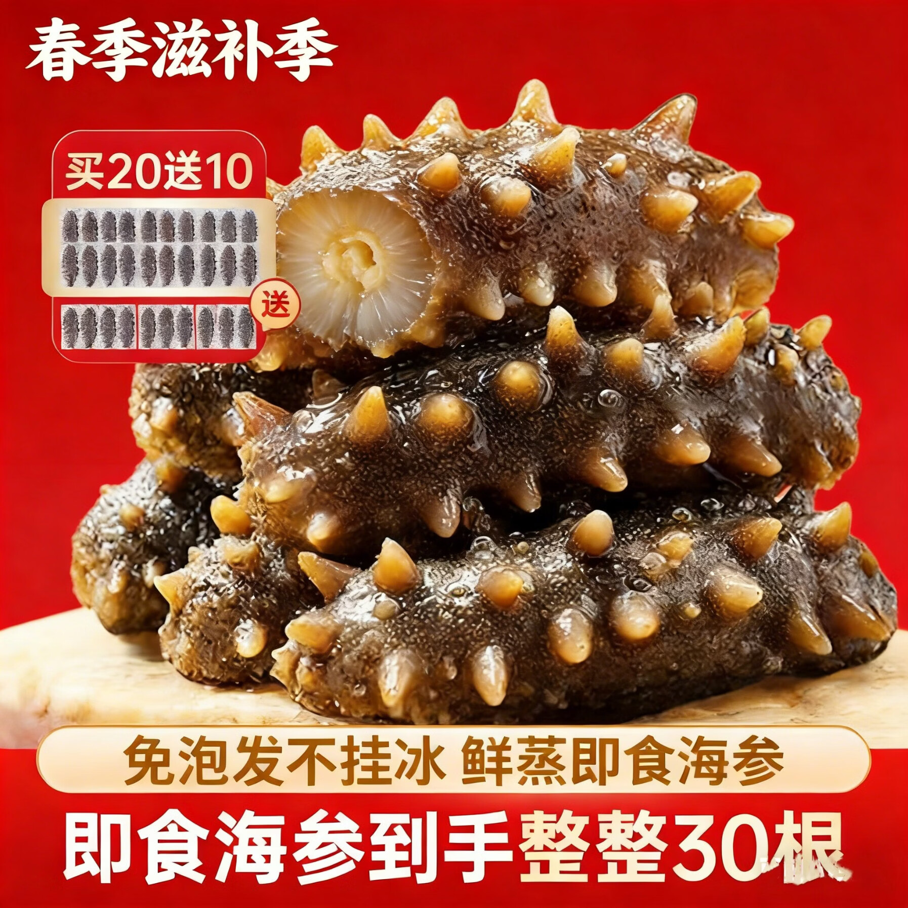 参村长海参鲜活礼盒258到手30根/鲜蒸即食海参/不挂冰/礼盒装/顺丰 买20根送10根 到手30根