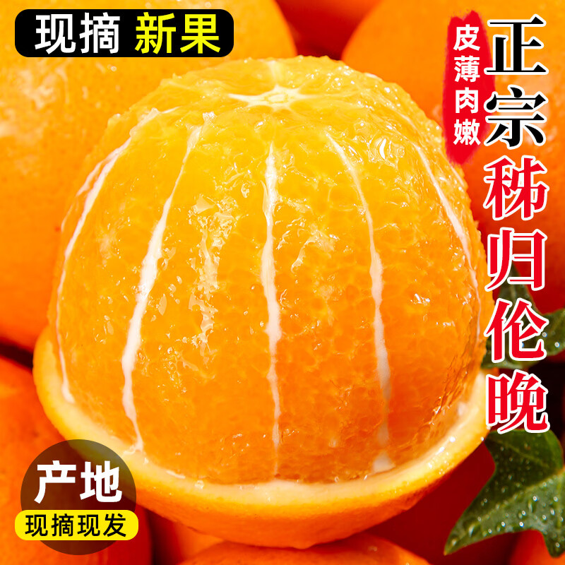 秭归伦晚春橙脐橙冰糖橙子果园直采精品当季新鲜水果大果破损包赔 果园直采-产地发货（果径70-75）净重9斤