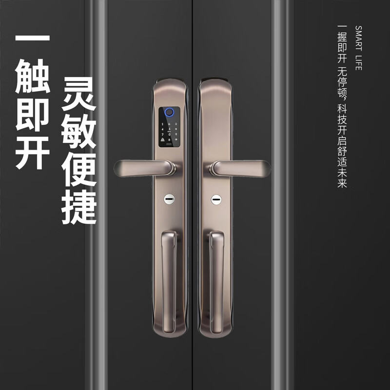映浪双开门智能锁别墅大门指纹锁户外农村自建房密码锁家用防盗门铜门 【入门款】不锈钢别墅大门指纹锁双开门+上门安装