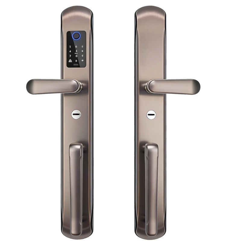 映浪双开门智能锁别墅大门指纹锁户外农村自建房密码锁家用防盗门铜门 【入门款】不锈钢别墅大门指纹锁双开门+上门安装