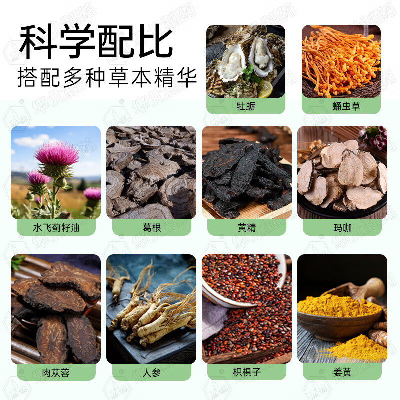 华北制药大健康水飞蓟籽油葛根人参 奶蓟草呵护保养 四代升级 60粒*6瓶【超划算】