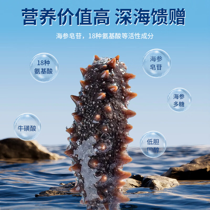 星龙港大连即食海参 深海底播辽刺参 加热即食海参礼盒 即食海参 500g *2盒【共计1kg，32-40只】