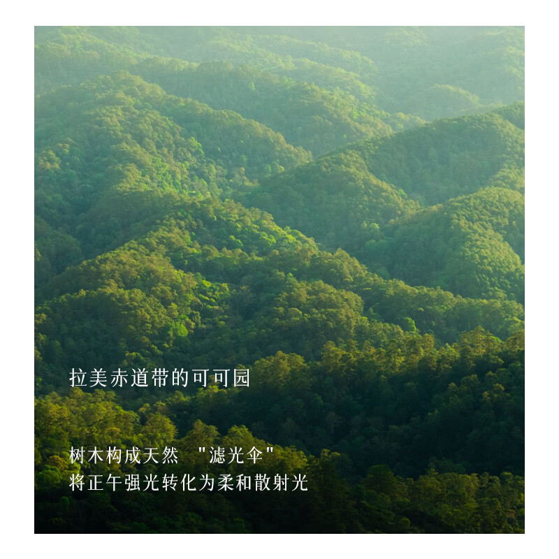 almanor奥蔓庄园可可巴旦木奶营养早餐代餐植物奶 无食品添加剂 可可巴旦木奶2箱