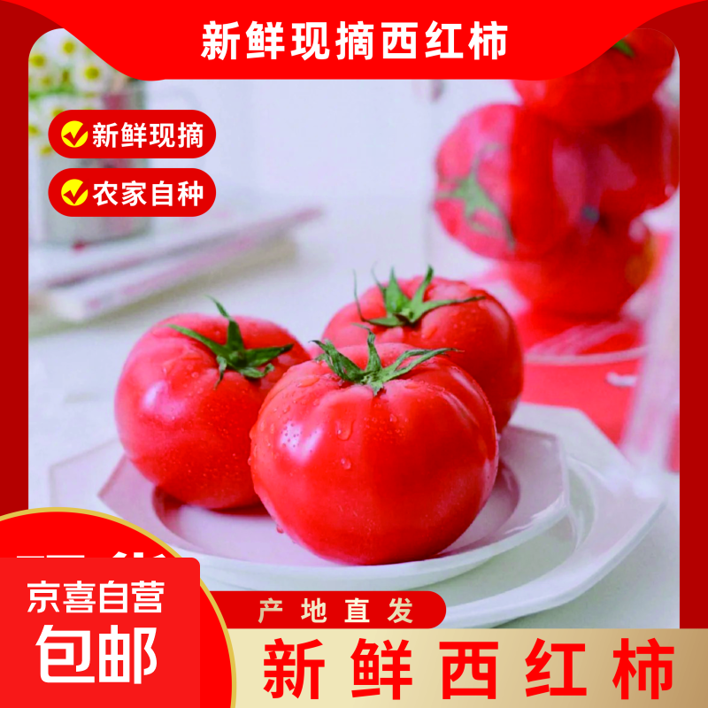 京喜加【心想柿成】山东沙瓤西红柿水果番茄生吃减脂直播间生鲜京东快递 新鲜西红柿 5斤 净重4.5斤【单果60g+】