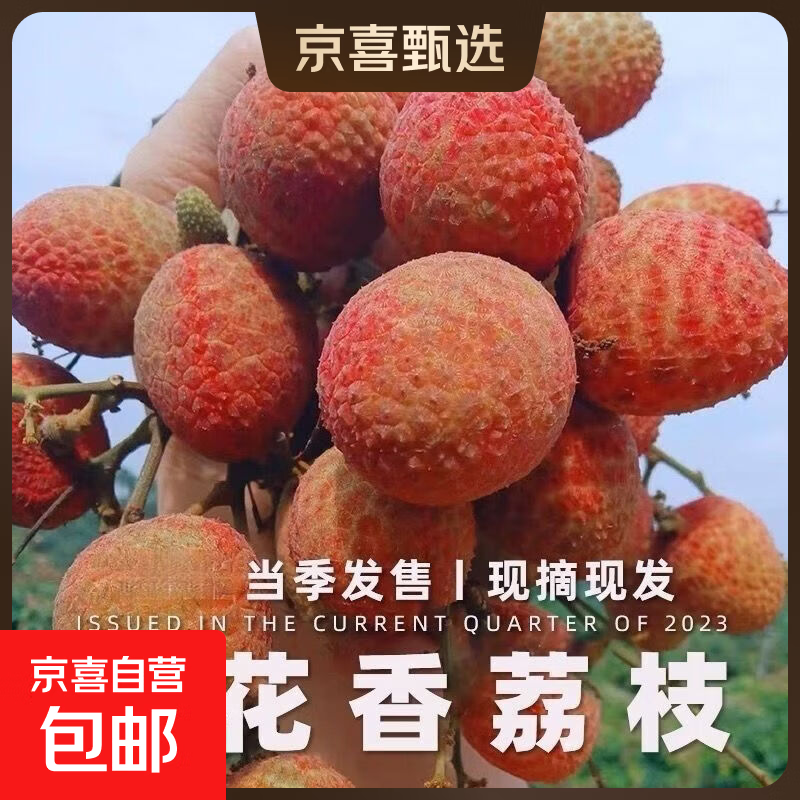 ��ϲ�� ������֦ ����������ժ 1�ﾻ�� ����15-18g 84.5Ԫ