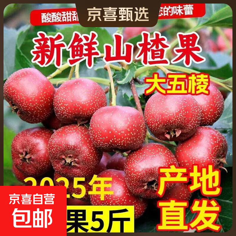 正宗山东老树山楂鲜果大五棱现摘现发糖葫芦炒雪球酸甜开胃山楂 带箱3斤净果2.7斤 手选大果一斤30个左右