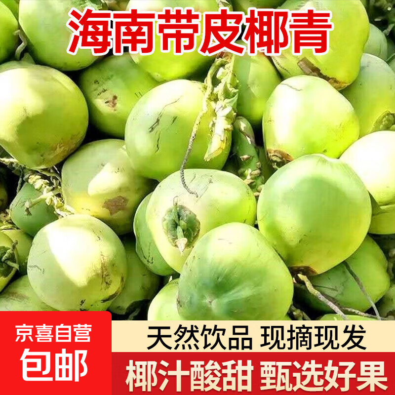 海南文昌去皮椰青新鲜椰子当季生鲜整箱水果天然椰子水产地直发 【4个装】海南带皮椰子
