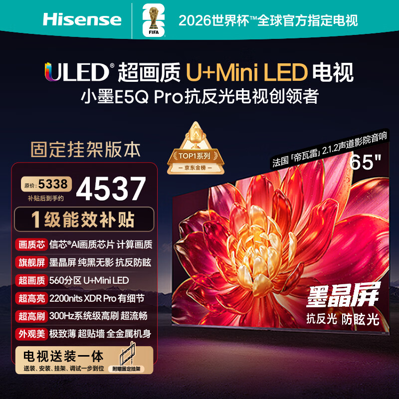 海信电视小墨E5Q Pro 65英寸【送装一体-固定挂架】560分区U+MiniLED 信芯芯片抗反光防眩光世界杯