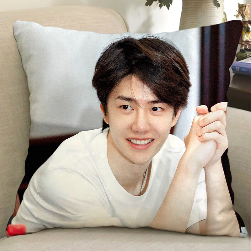 卡佰索王一博双面应援抱枕含枕芯45X45送闺蜜 【双面不含枕芯】40x40厘米 金王一博-1