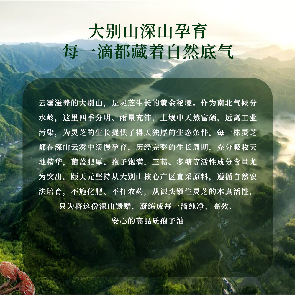 頤天元灵芝孢子油软胶囊香港制造原装进口官方旗舰店正品 30粒/盒*4