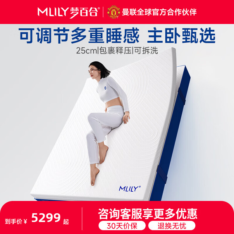 梦百合【DR专属】床垫快充独袋弹簧记忆棉护脊床垫 家用双人席梦思 2.0零压深睡舒适款-25cm 1.8米*2米
