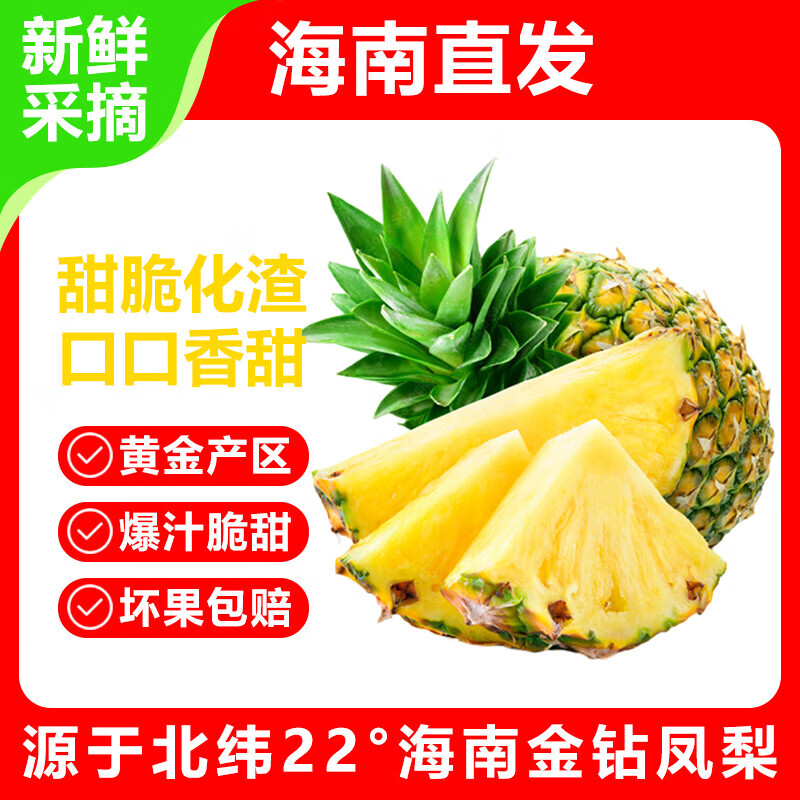 海南金钻凤梨 香甜多汁 新鲜水果产地直采 金钻凤梨净重2.2-3斤 【2-3个】