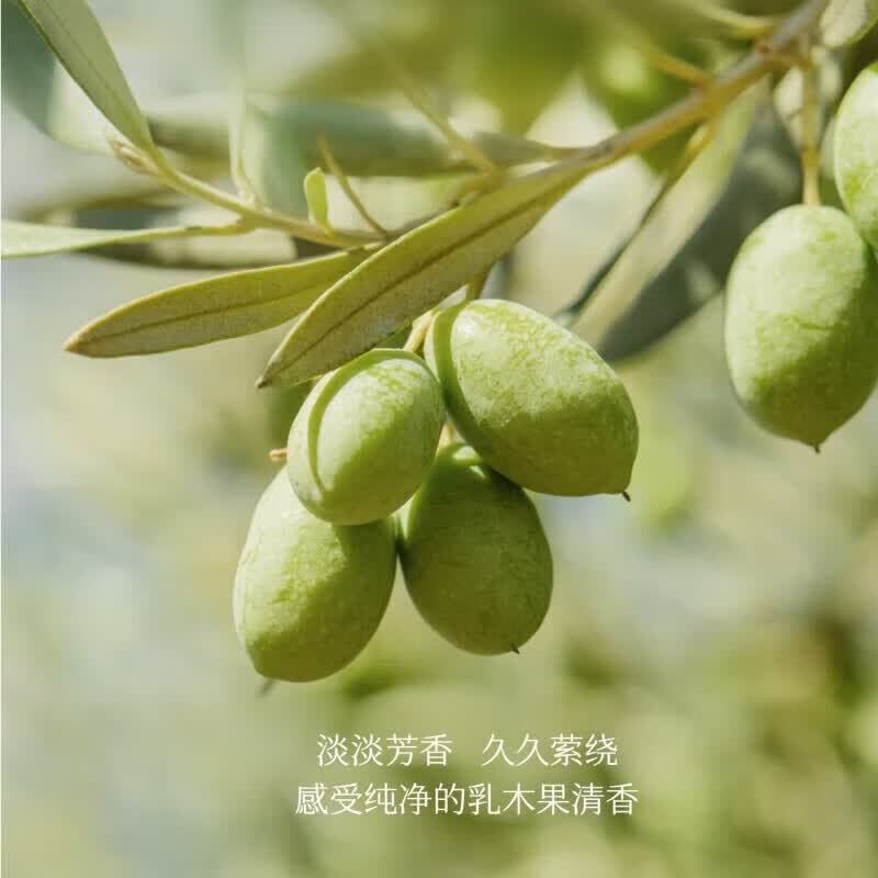半亩花田磨砂膏身体磨砂膏去角质身体磨砂膏沐浴洗澡 乳木果身体磨砂膏250g