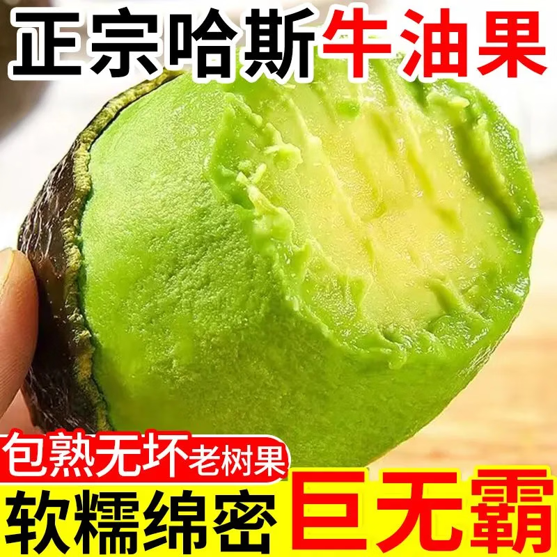 御红橙绿【正宗哈斯】秘鲁进口牛油果新鲜孕妇水果宝宝辅食鳄梨整箱包邮 大果【单果130-160g】性价比高 6个 送酱料包