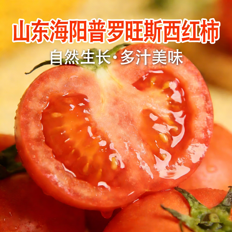 古寨山普罗旺斯西红柿自然熟沙瓢番茄新鲜蔬菜 4.5斤净重装