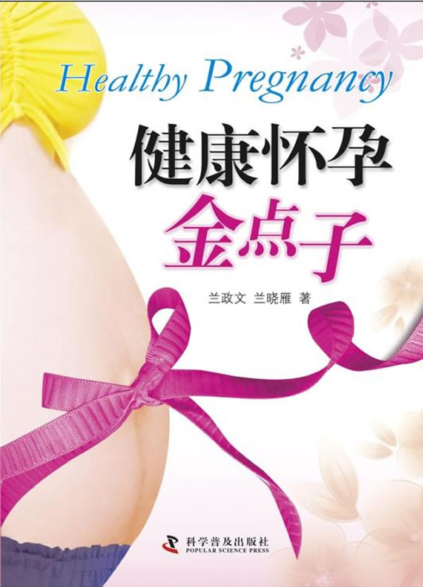 健康怀孕金点子 育儿/家教 书籍