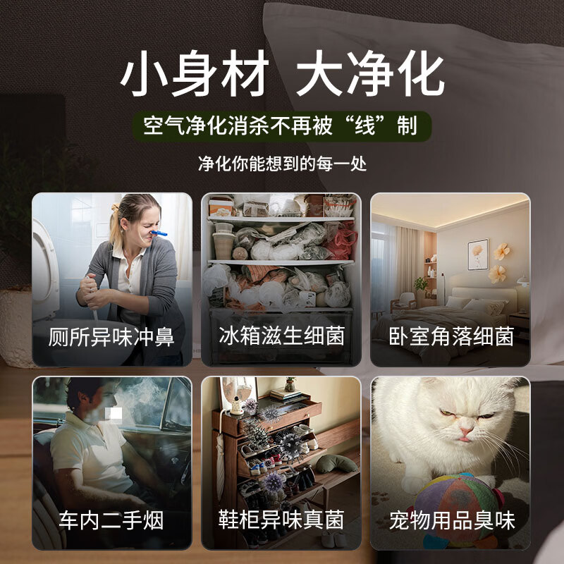 清旭尔然【母婴级】等离子空气净化器 除烟味除细菌除甲醛 母婴室家用办公室桌面便携式消毒器 无滤芯 粉红色【分解病菌，无需滤芯】