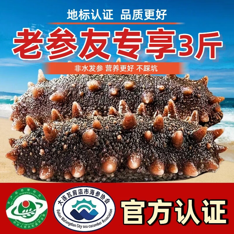 亿鲜笙海参即食大连鲜活野生辽参非干货海参孕妇刺参礼盒500g单个装 4-8只/斤【大号】地标认证辽参 2斤装【实惠滋补】