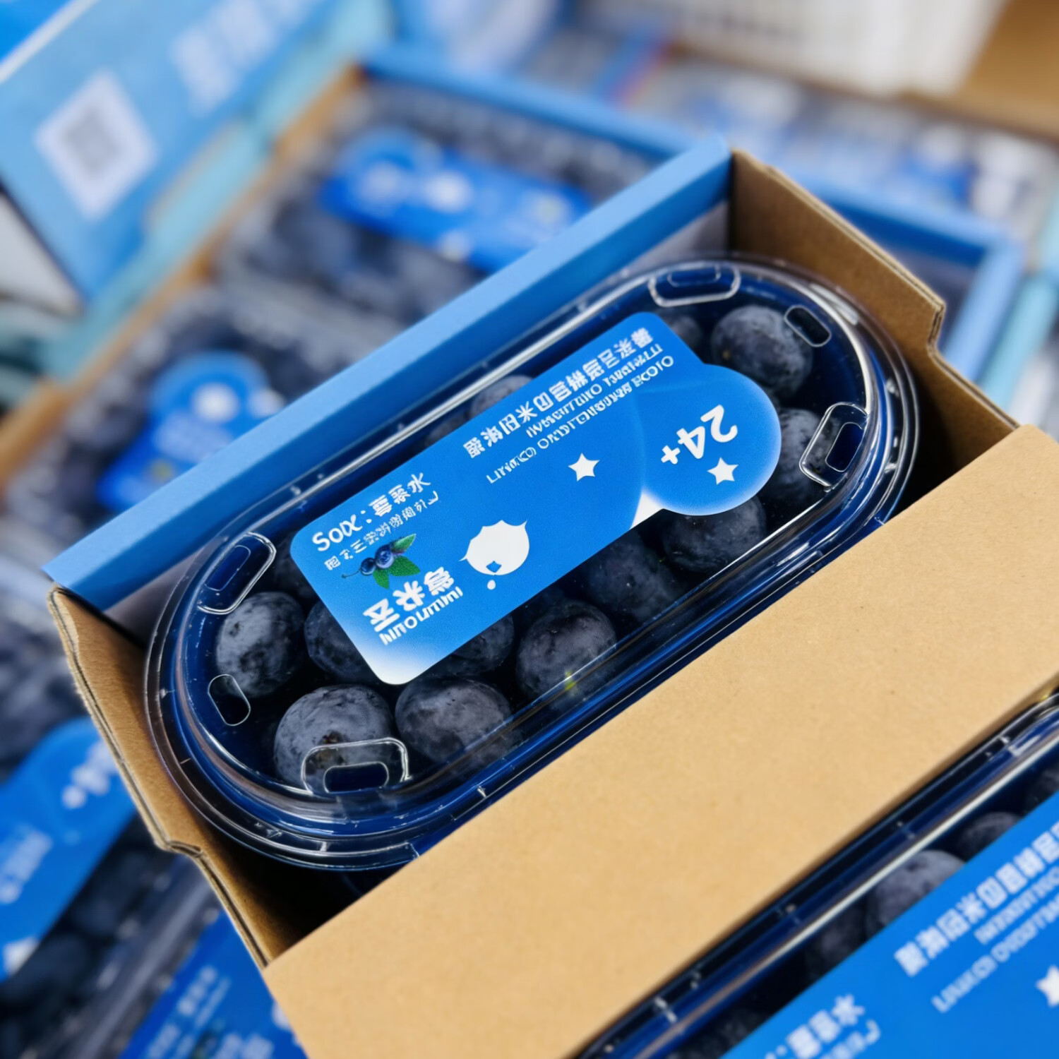 Mistyblue雾蓝|莓朵云花香新鲜蓝莓22mm超大果巨无霸200克/盒 8盒