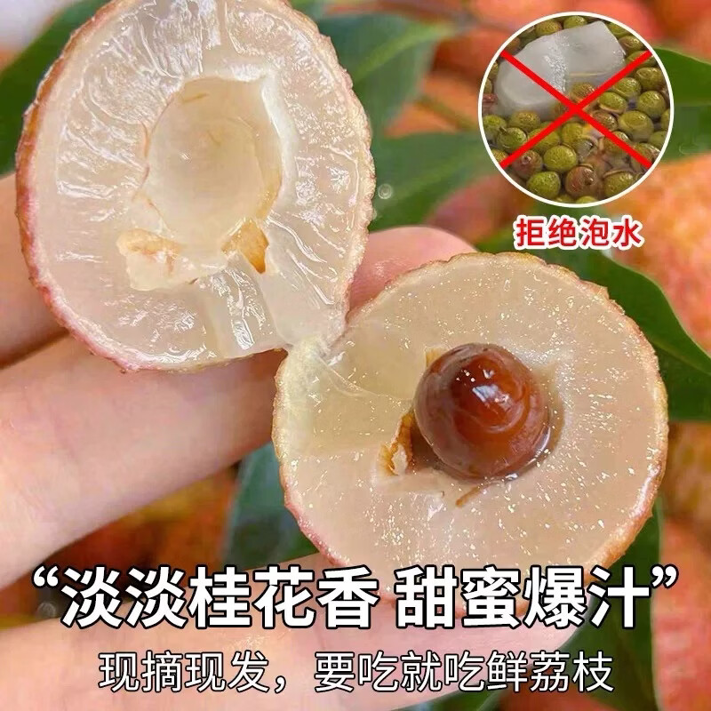 三萌果蔬 海南荔枝新鲜【JD顺丰空运-多地次日达】桂花香荔枝水果礼盒送礼 【80%人选·精选果】丨单果16g+ 3斤装【超值推荐-超划算】净2.5斤