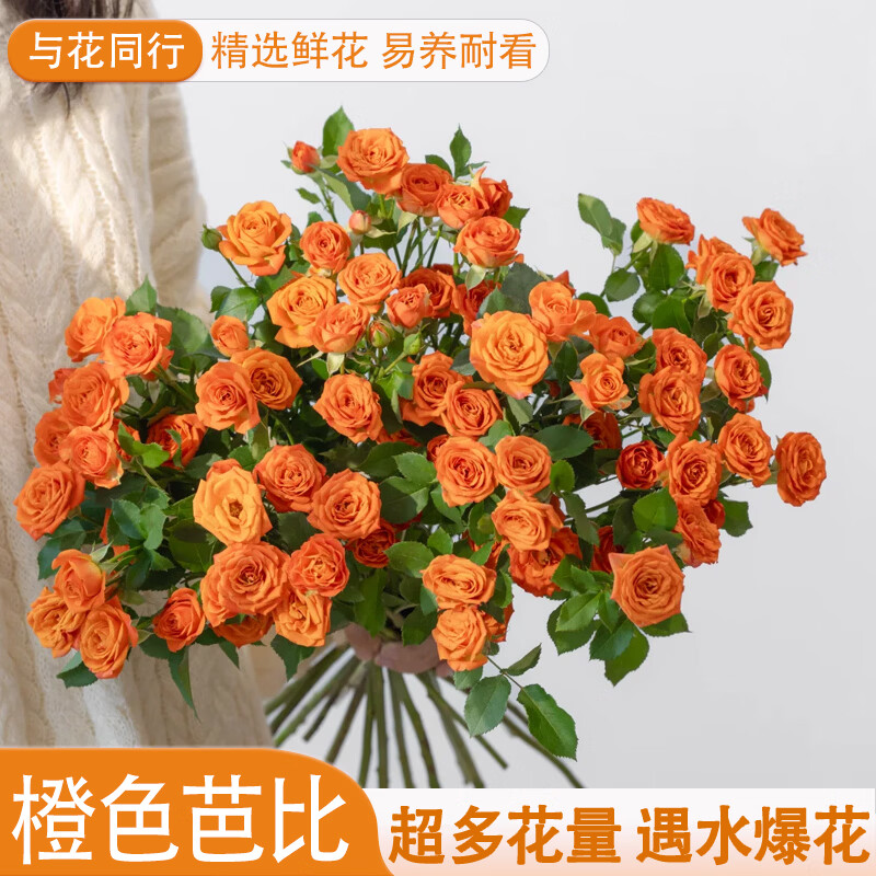 与花同行橙色芭比玫瑰鲜花基地直发云南昆明爱丽丝巧克力泡泡玫瑰送礼花束 10枝【20-30个花苞】橙色芭比多头玫瑰 基地直发 长度35-45cm