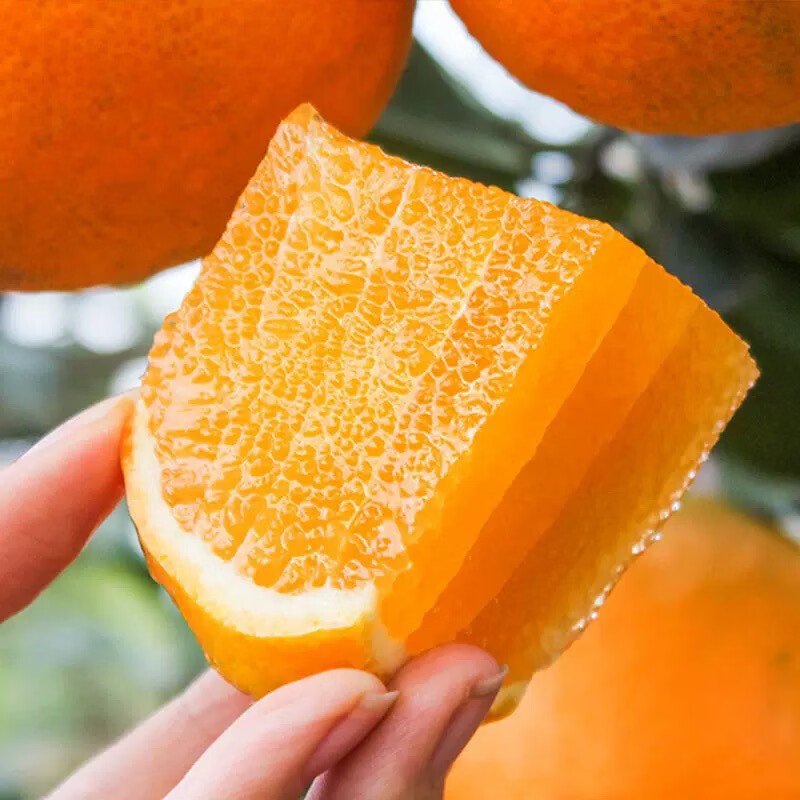 重庆奉节脐橙 脐橙 新鲜水果 生鲜 重庆特产 产地现摘直发 带箱10斤 70-75mm 果径70mm-75mm