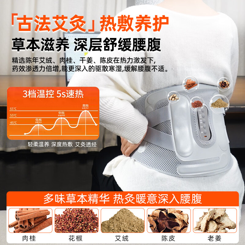 康立普（CANLIPE）医用艾灸热敷理疗仪加热护腰带腰肌劳损痛疼按摩充电式腰部按摩器 医用【腰部热垫式治疗仪】+医用艾绒包三盒