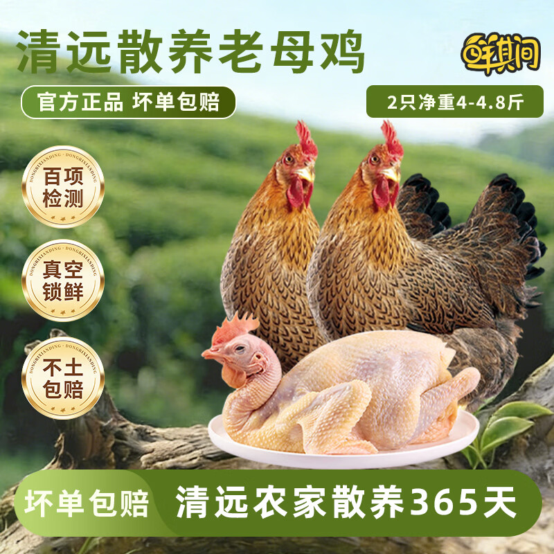 鲜其间【正宗清远鸡】老母鸡土鸡农家散养走地鸡项整只新鲜现杀黄油 正宗清远老母鸡【二只4-4.8斤净重】 京东冷链配送/深山散养365天/坏单包赔售后稳