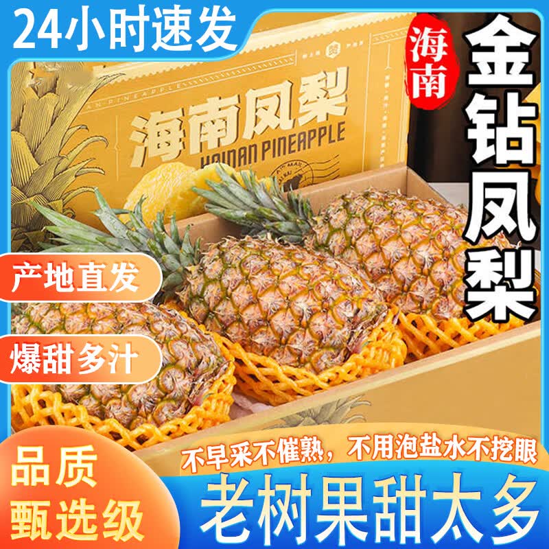 小筑倾橙正宗海南金钻17号凤梨爆甜树上熟当季特产新鲜水果礼盒整箱 精选大果5斤金钻凤梨 京东折扣/优惠券