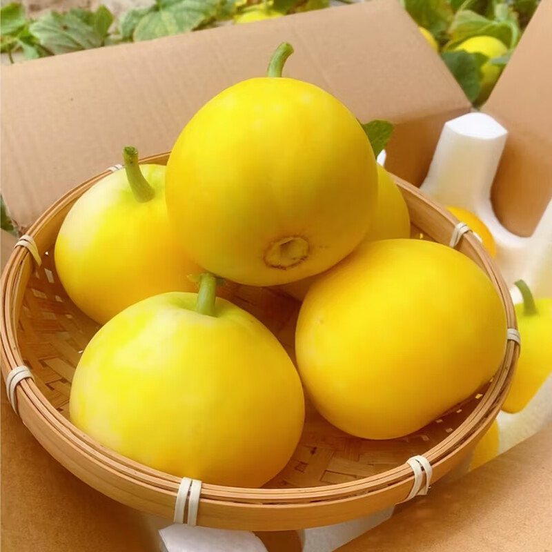 正宗山东头茬小蜜蜂甜瓜星甜20新鲜水果当季现摘蜜罐甜瓜顺丰包邮 净重4.5斤【5-7个】手选精品大果