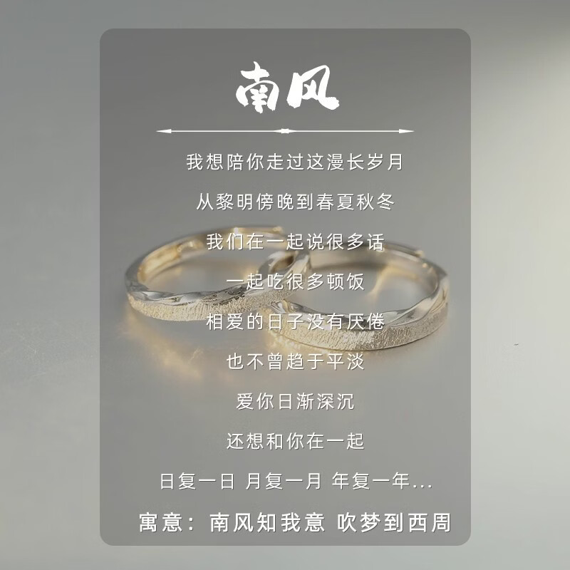 南风情侣对戒925纯银定情信物圣诞礼物 男女一对 开口可调节