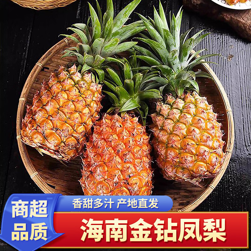 泽华果品海南金钻凤梨 当季新鲜热带特产水果果园现摘 海南金钻凤梨净重4.5斤3-5个小果