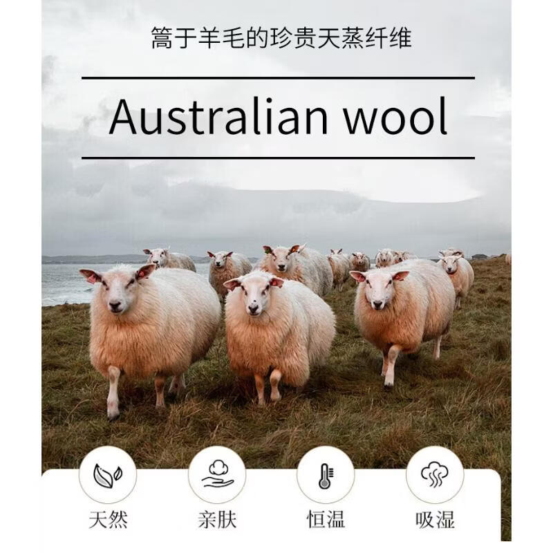 【京东直采】100%羊毛圆领短袖T女针织衫26春新款套头纯色女装 白色 L