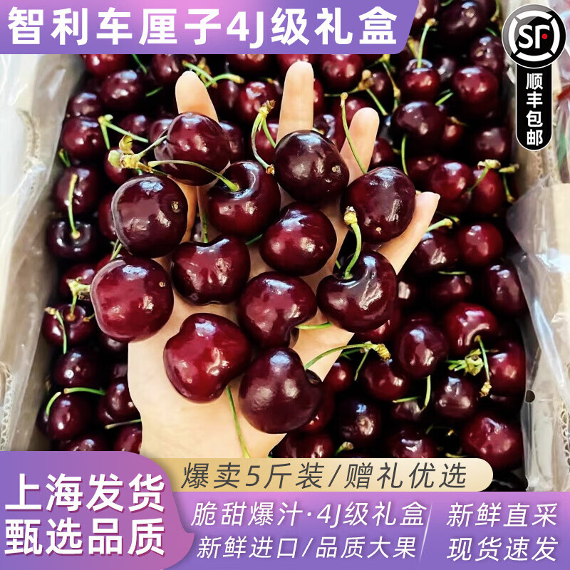 智利进口车厘子santina5斤4J原箱礼盒装大果当季黑车孕妇水果顺丰 5斤(净重) J 26mm(含)-28mm(不含)
