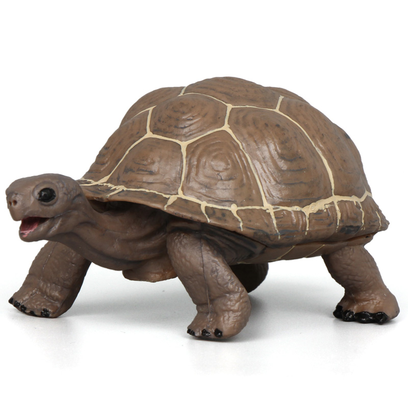 玛奇乐（MECHILE）仿真野生动物模型动物园玩具套装女孩男孩儿童生日礼物象龟