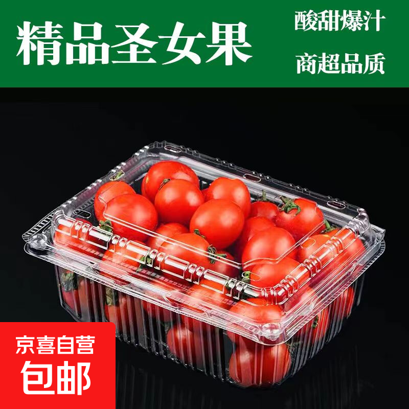 【东东买菜】广西新鲜圣女果孕妇现摘新鲜水果小番茄生吃酸甜爆汁 （带箱） 2斤 一口爆汁