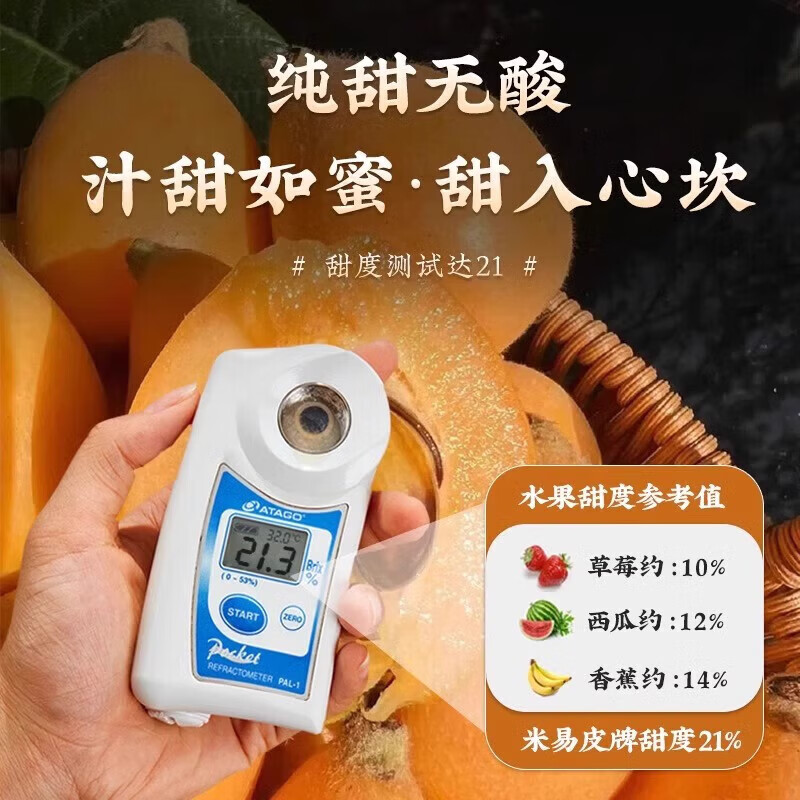 枇杷水果礼盒正宗福建莆田书峰五星大果当季新鲜纯甜高山琵琶整箱 5斤礼盒【净重4.5斤 SSS+级果王】 30年老树【京东/顺丰-多地次日达】