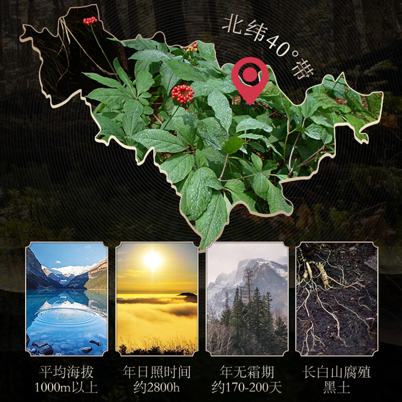 长白山人参全须生晒参东北红参干人参滋补品送长辈礼盒人参皂苷煲汤泡酒 全须生晒参 20g*4盒 【送礼品袋2个】 【长白山人参旗舰推选】热销爆款