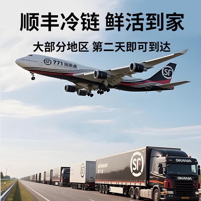 鲜活乳山生蚝新鲜正宗乳山牡蛎海蛎鲜活牡蛎海鲜贝类净重5斤/10斤 3XL中蚝(7-15只)净重5斤