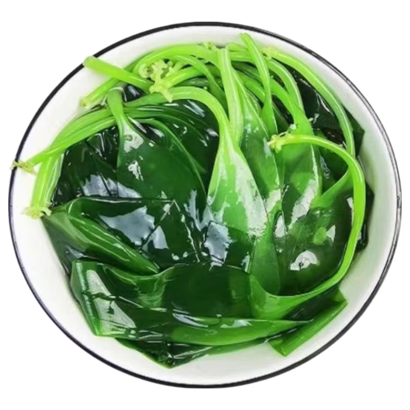 盐渍海带苗凉拌火锅麻辣烫煲汤海带苗海苔鲜嫩脆爽休闲零食无沙 500g