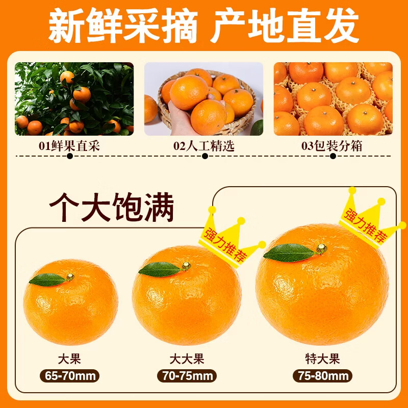 uncle lemon四川高山沃柑新鲜薄皮蜜柑当季柑橘子现摘果园现摘甜多汁产地直发 带箱9斤 【大果】果径70-80mm，维C丰富，实惠装