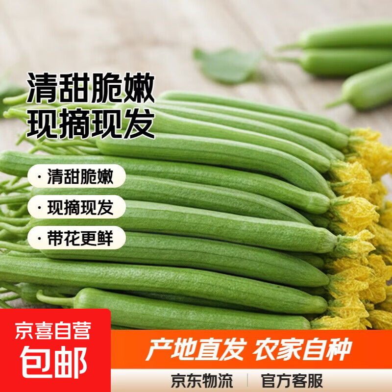 京喜加【夏日减脂】寿光嫩丝瓜新鲜水嫩长丝瓜翠玉王丝瓜炒菜煲汤蔬菜 丝瓜5斤装 4.7斤 净重