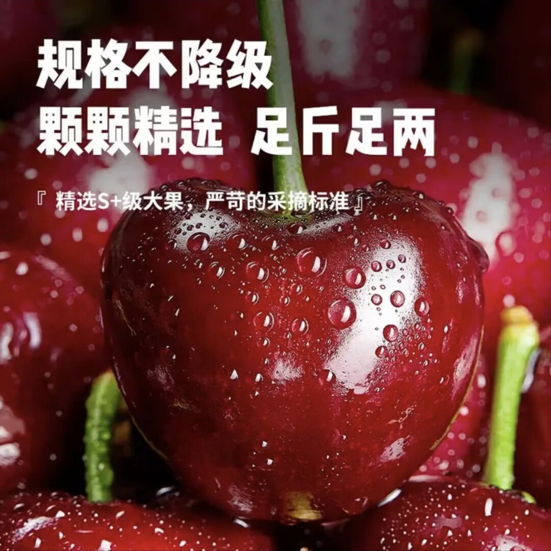 鲁小鲜山东美早大樱桃车厘子水果礼盒生鲜礼盒【JD生鲜航空次日达专线】 3斤(净重) 【超值装-80%选择】 小果 XL 单果≤26mm