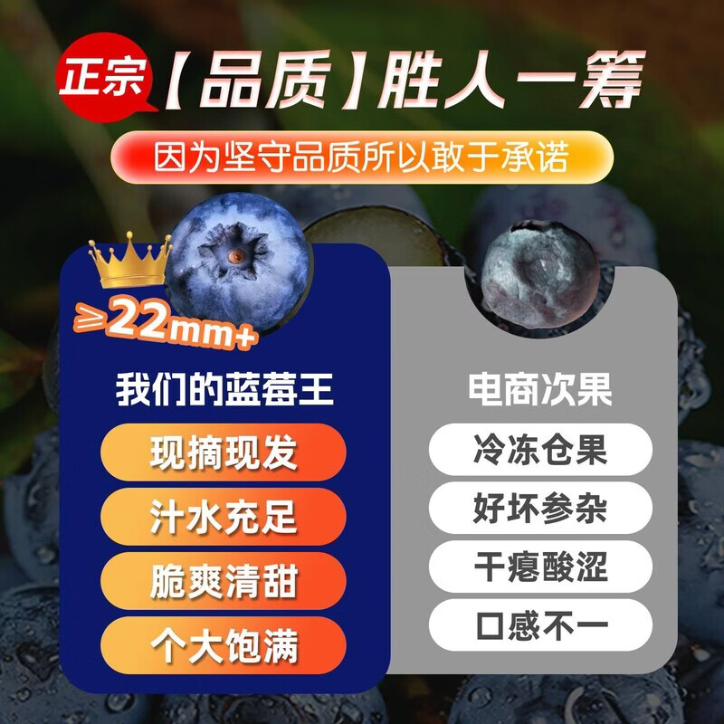 接运猫蓝莓鲜果新鲜应当季高端水果云南蓝梅现摘特大果孕妇水果整箱顺丰 12盒 【125g/盒】 【果王】单果22mm+ 顺丰包邮颗颗甄选