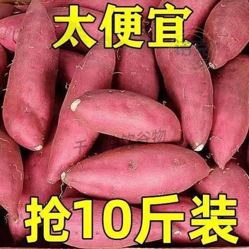 板栗蜜薯新鲜红薯沙地糖心地瓜非山东烟薯番薯25号烤红薯专 精选中果带箱番薯9-10斤