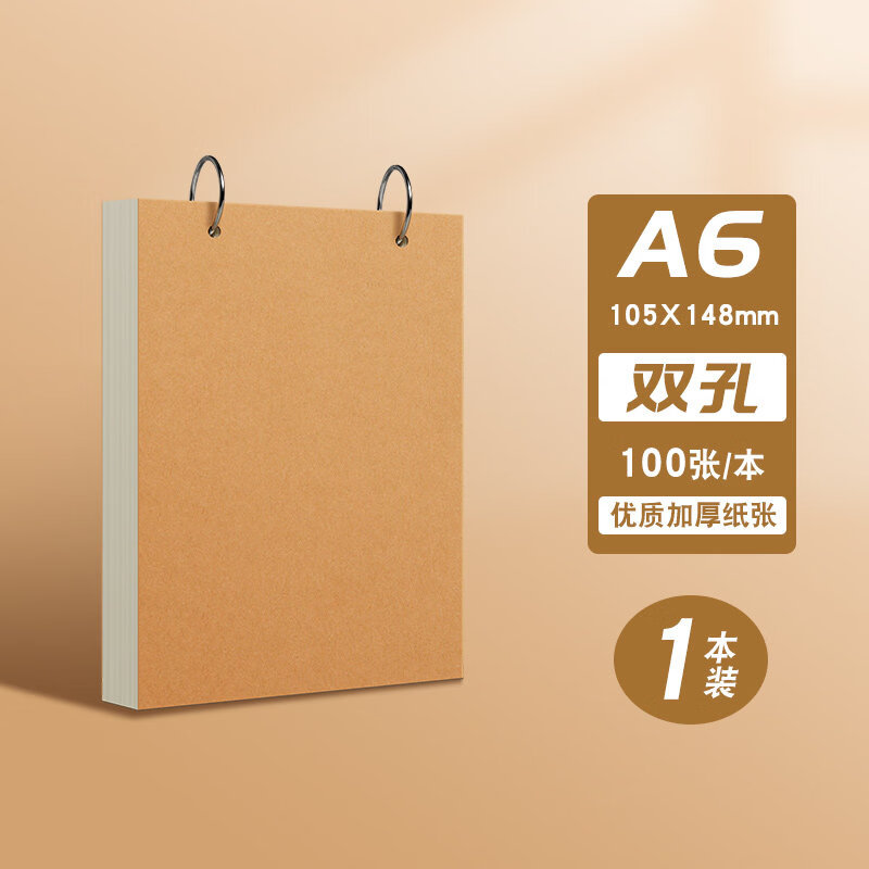 思进（SIJIN）空白笔记本A5活页迷你随身环扣式可拆卸便签本口袋本记账笔记本迷你A6牛皮纸加厚上翻线圈本简约会 A6【双孔】1本装