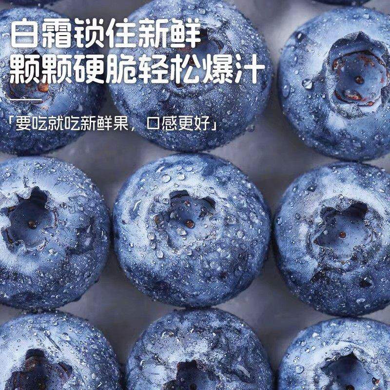 接运猫新鲜云南高山蓝莓鲜果正宗花香蓝莓果王当季现摘水果现货顺丰包邮 12盒 顺丰/JD极速达|果王【22-25mm】单盒125g|稀有少见
