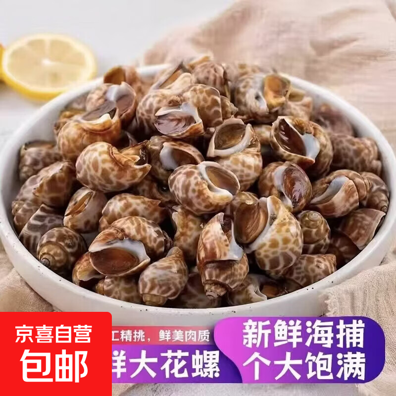 特大花螺无沙无冰鲜活冷冻深海海螺海洋螺类海螺批发贝类冷冻海鲜 中号100-200短尾花螺/斤 500g